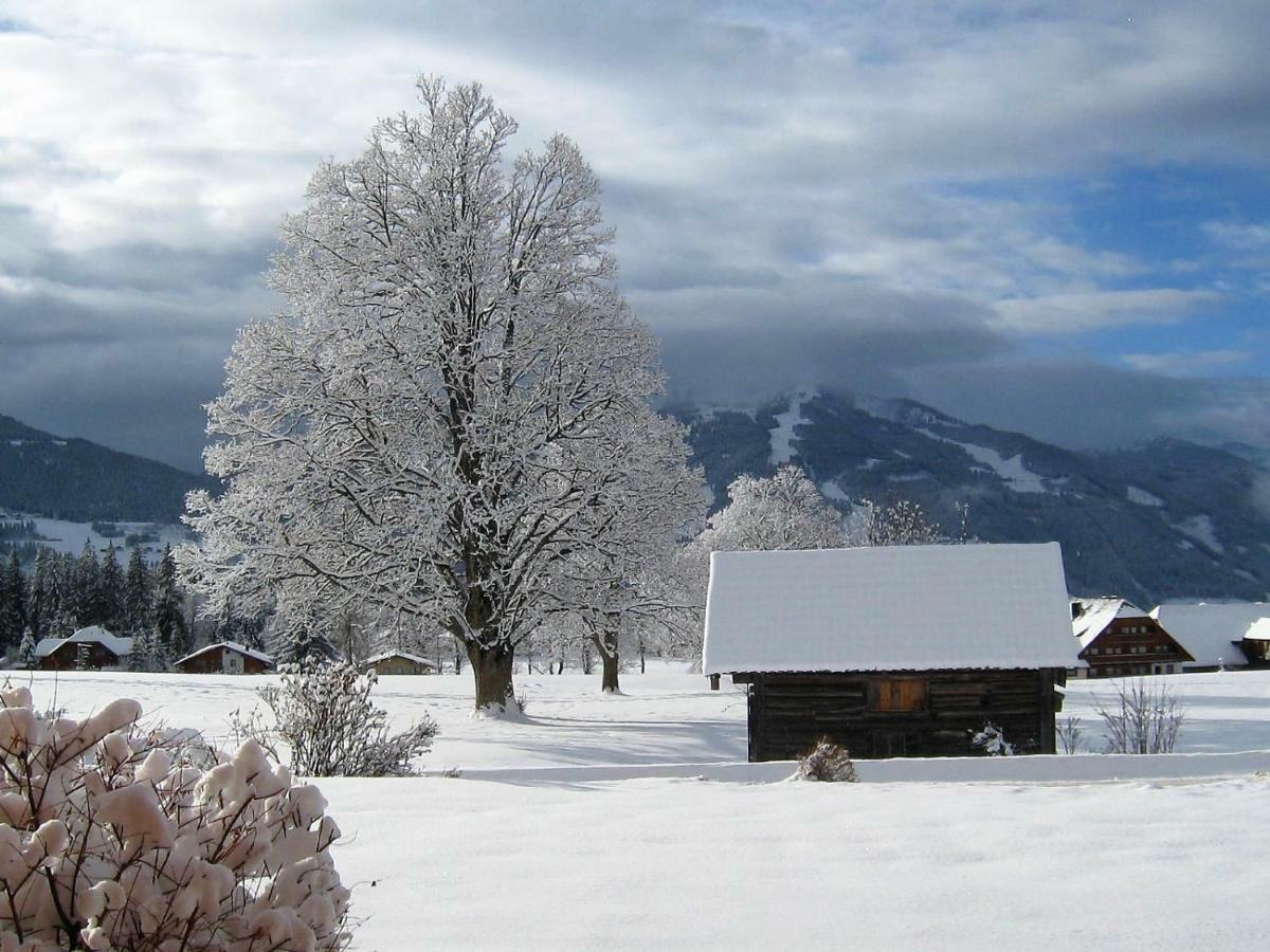 Blockhaus Royer Leilighet Ramsau am Dachstein Eksteriør bilde