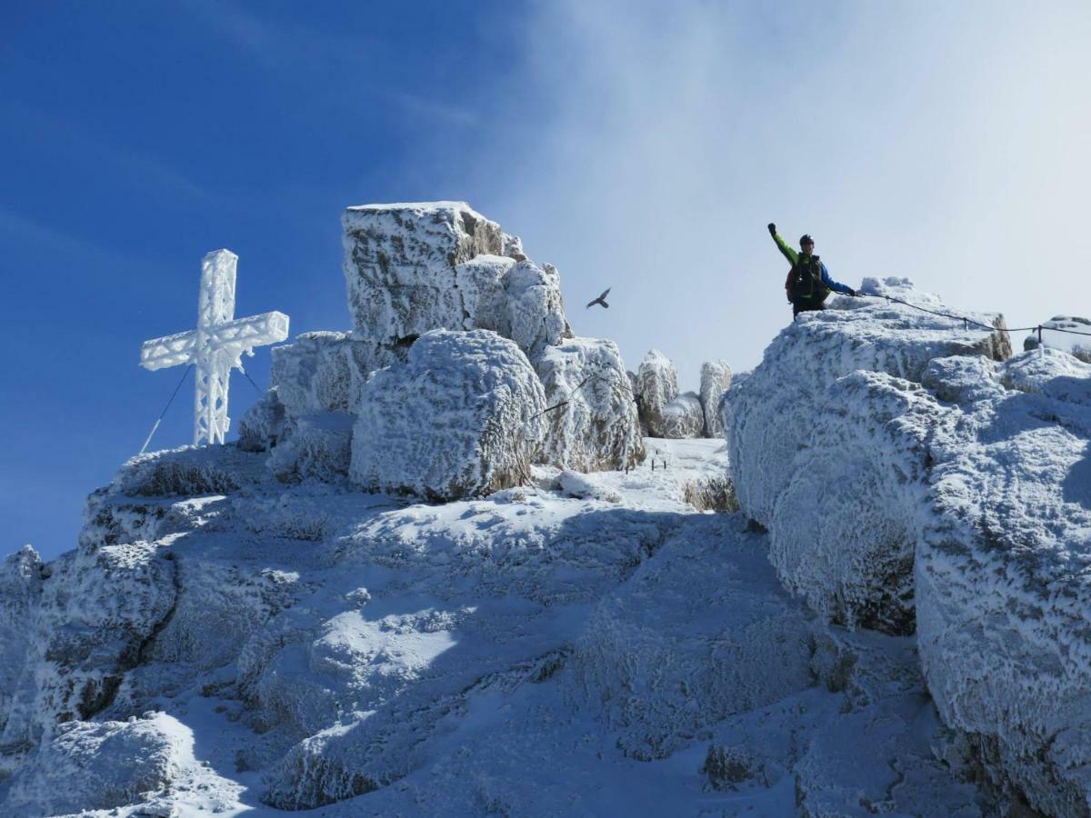 Blockhaus Royer Leilighet Ramsau am Dachstein Eksteriør bilde